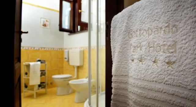Трёхместный номер Standard Gattopardo Park Hotel