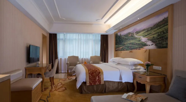 Люкс Deluxe Vienna Hotel -Yantian Harbor