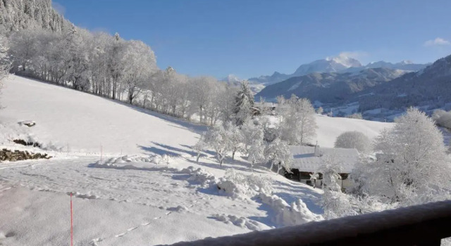 Le Mazot de Marie - Chalet 6 Pers