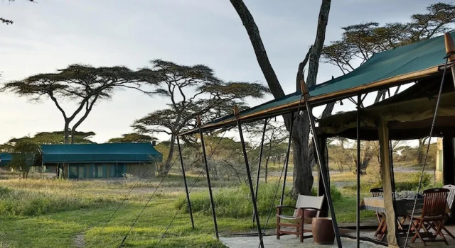 Habitación doble De lujo Nyikani Migration Camp