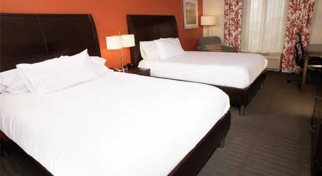 Standard- firedobbelt værelse Hilton Garden Inn Springfield