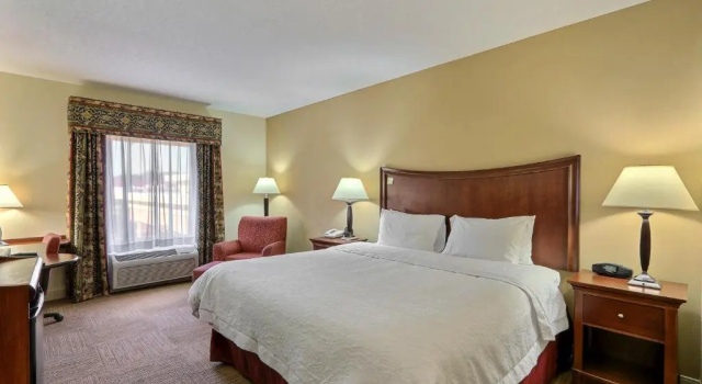 Номер Standard Hampton Inn & Suites Savannah - I-95 South - Gateway