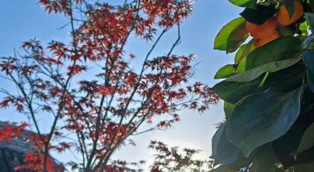 Xiansheng Duimen Traditional Chinese Medicine Wellness Homestay, Varaa Hotelli Shanghai Shanghai