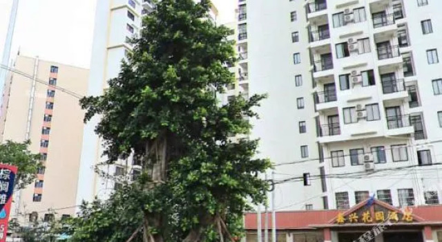 xinxinghuayuanjiudian, Book Hotel Sanya Hainan