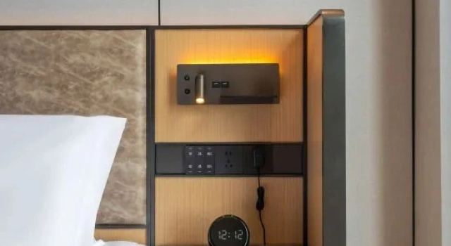 Люкс Business TRUE GO Hotel (Xianning Huochezhan Xianning North Railway Station)