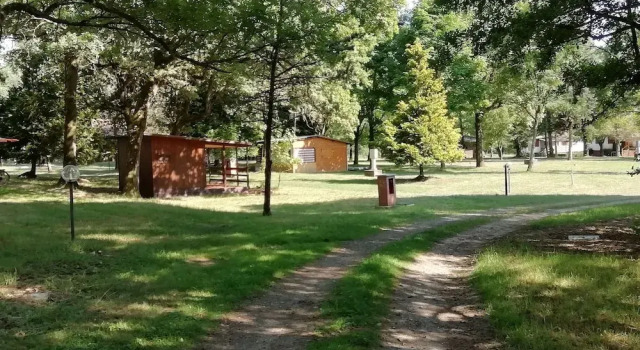Бунгало Camping Future Is Nature Playground