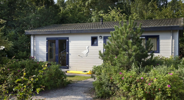 Family Chalet in Netherlands Holiday Park, Забронировать Шале Отели Норда 3 звезды, 3*