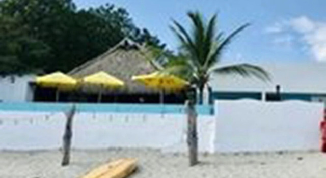 Coconut Blue Panama