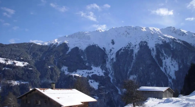 Maisäß Lifinarblick, Book Apartment Hotels in Vorarlberg with Parking, Parking
