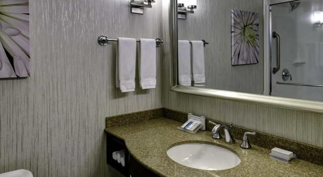 Люкс Hilton Garden Inn Overland Park