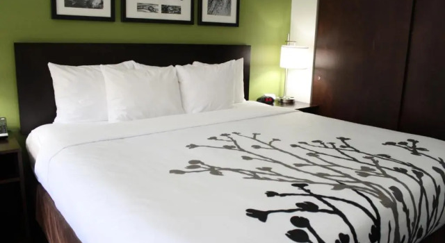 Номер Standard Sleep Inn Ellenboro Hwy 50