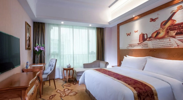 Люкс Deluxe Vienna Hotel Jieyang Danpu Road