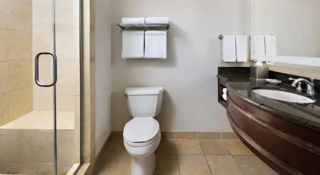 Двухместный люкс Deluxe c 1 комнатой Gaylord Palms Resort & Convention Center