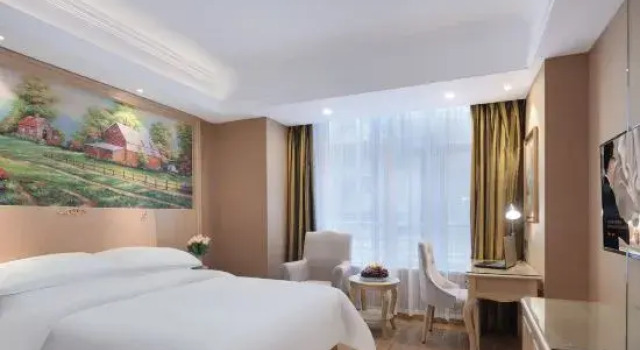 Люкс Deluxe Vienna Hotel (Jiaxing Pinghu Branch)