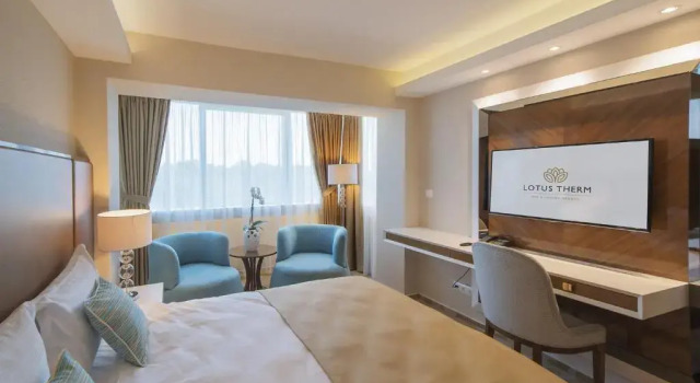 Одноместный номер Standard Lotus Therm Spa&Luxury Resort
