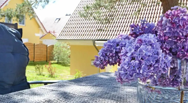 Коттедж Waldsiedlung DHH Waldhaus 6