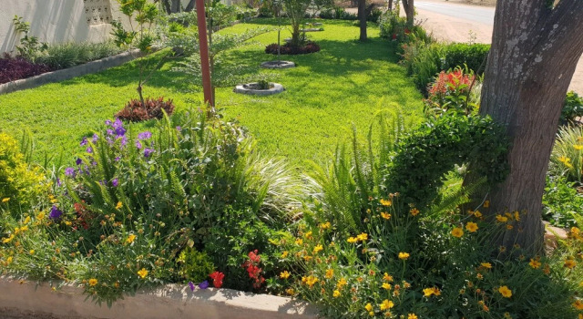 The Oasis Evergreen Lodge, Забронировать Отель Отели Чома с парковкой, Парковка