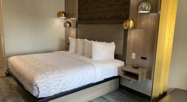 Двухместный люкс Deluxe Hotel Solara Hobby Airport