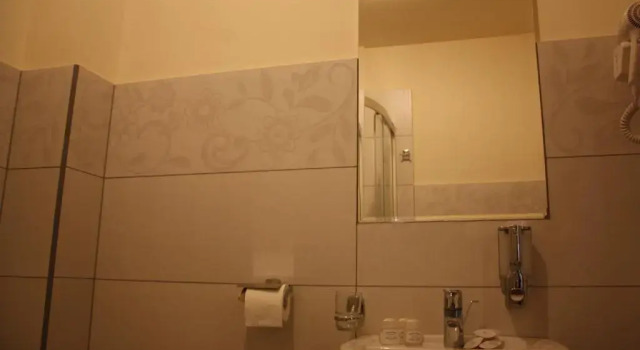 Двухместный номер Comfort Korona Palace