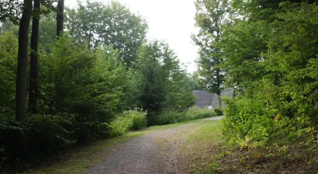 Коттедж Bungalow; Haus 111 Ferienpark Twistesee, Bad Arolsen