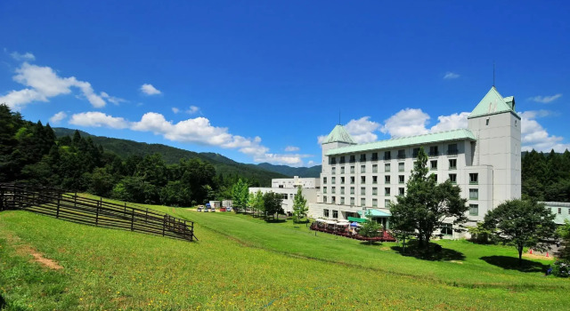 Номер Standard Blue Ridge Hotel