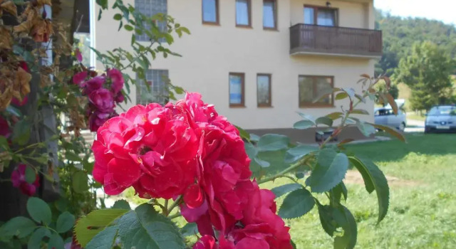 Апартаменты Apartments T&M