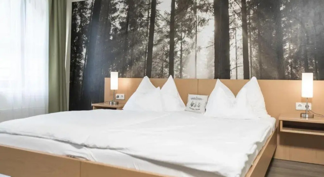 Номер Superior Naturhotel Schloss Kassegg