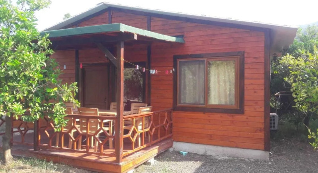 Вилла Luxury Cirali Zambak Villa