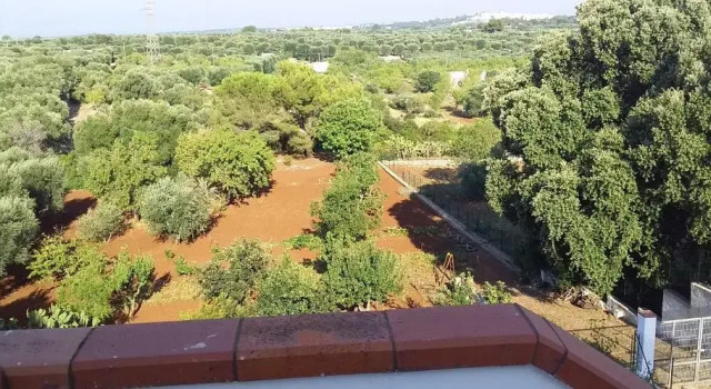Villa Mediterranea tra gli ulivi