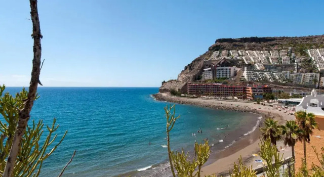 Апартаменты c 1 комнатой Beach Apartment in Playa del Cura 323