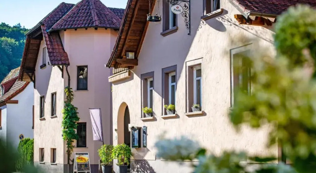 Одноместный номер Standard Landgasthaus & Hotel zur Krone