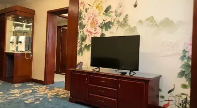 Двухместный люкс Superior Yinmao Hotel