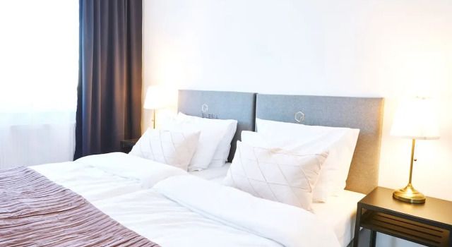 Апартаменты Business с видом на город Silesia Apartments