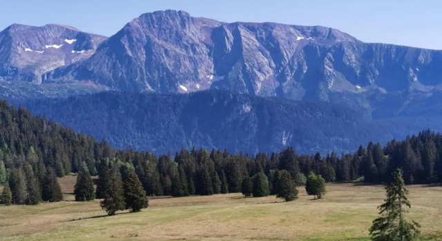 Апартаменты Mountain Views & Slope Access