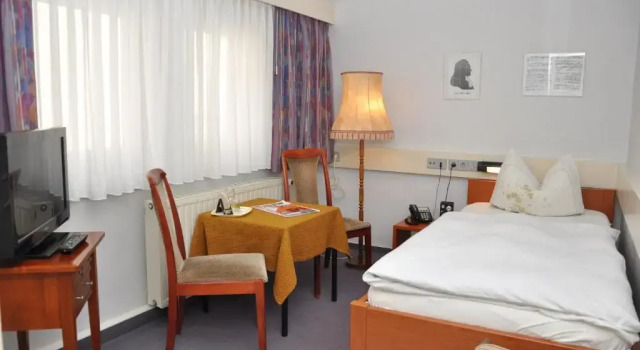 Одноместный номер Standard с видом на город Hotel Goldene Sonne