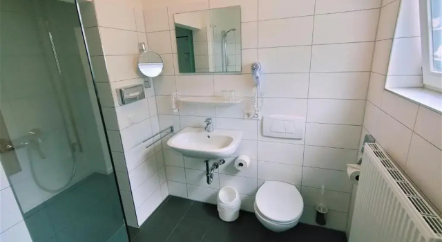 Двухместный номер Standard Sport Hotel Kenzingen inklusive Schwimmbad, Sauna und Frühstück nähe Europa-Park