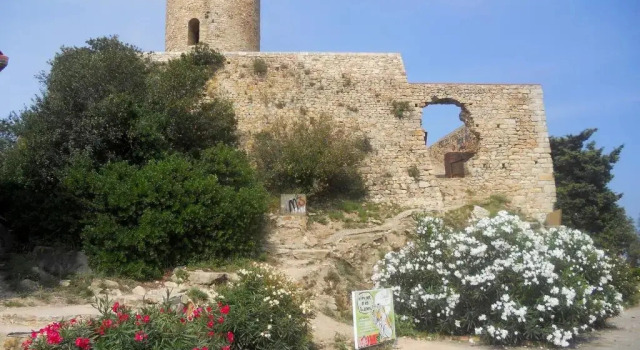 Rental Apartment Las Palmeras - Blanes 2 bedrooms 4 persons, Забронировать Апартаменты/квартира Апартаменты Бланес, Апартаменты/квартира