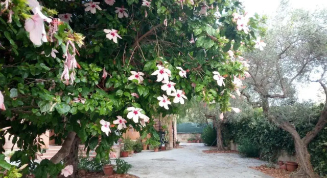 Коттедж Villetta Marinella di Selinunte