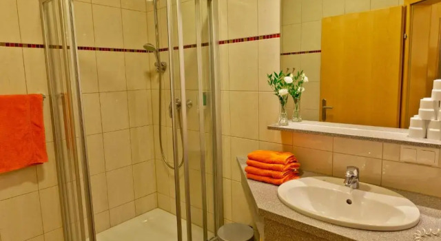 Студия Alpine Spa Residence