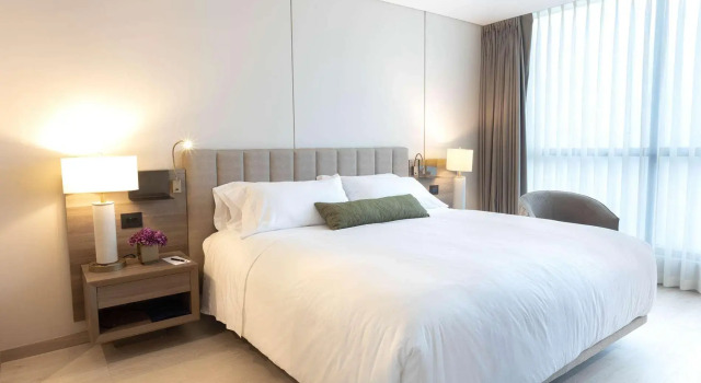 York Medellin, Curio Collection by Hilton