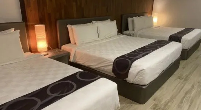 Люкс Premium Harvest Inn