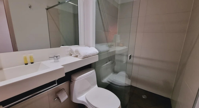 Двухместный номер Deluxe Hotel Austral