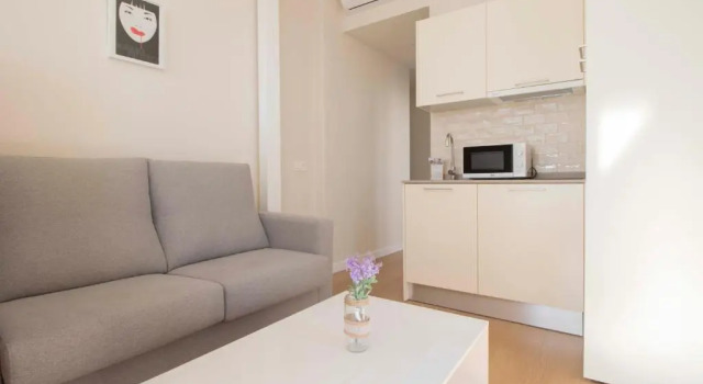 Студия Superior Ópera Apartments Alameda