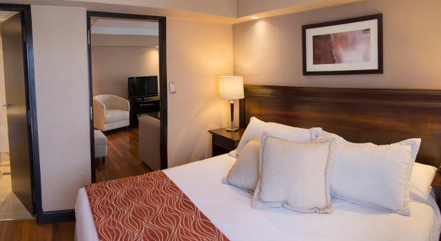 Двухместный люкс Premium Tower Suites Mendoza