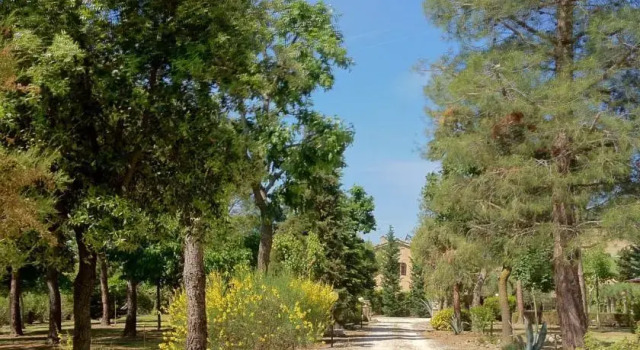 La sorgente dei sali, Reservar Hotel Hotéis em Treia com piscina, Piscina