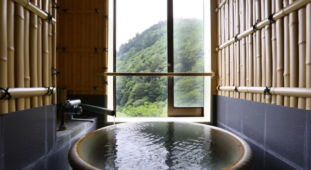 Номер Standard 志賀高原 白い温泉 渓谷の湯