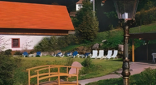 Naturparkhotel Adler, Reserva ahora Hotel Hoteles en Baden-Wurtemberg con piscina, Piscina