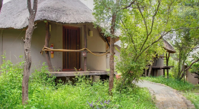 Шале Standard Warthogs Bush Lodge