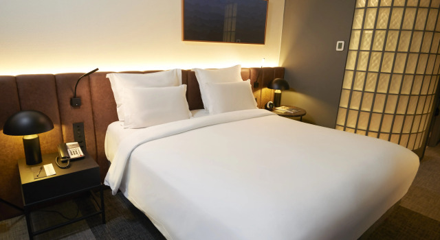 Pullman Sao Paulo Ibirapuera
