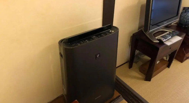 Трёхместный номер Standard Rickshaw inn